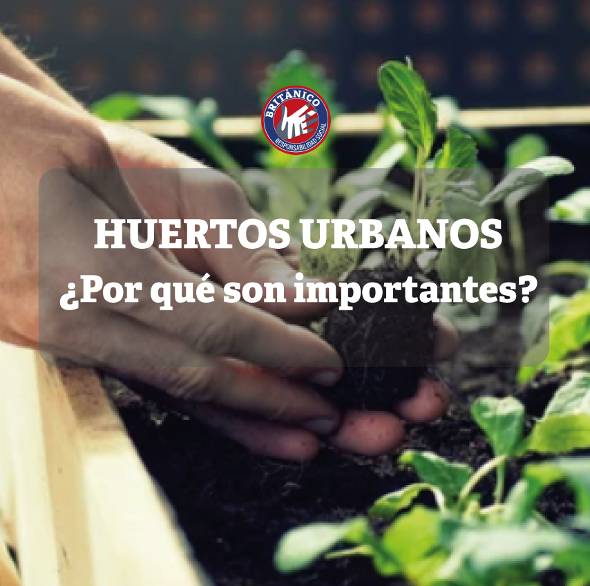 huertos urbanos