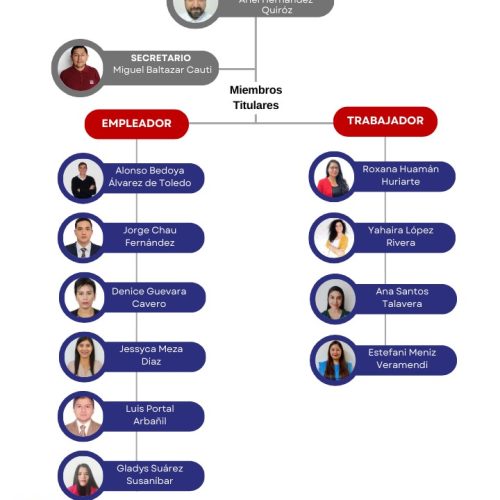 Organigrama CSST