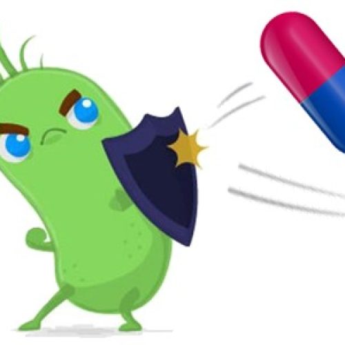 resistencia a los antibioticos 2